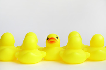 Yellow duck toy on white background. Business, Leadership, Teamwork or Friendship Concept