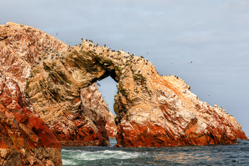 Birds  on the rocks of the Ballestas Islands in the Paracas National park, Peru.
