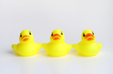 Yellow duck toy on white background. Business, Leadership, Teamwork or Friendship Concept