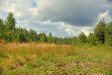 Obraz premium Summer landscape with meadow, trees, clouds, road.