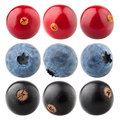 berries, cranberry, blueberry, black currant, isolated on white background, clipping path, full depth of field