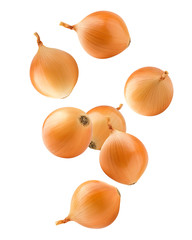 Falling onion, isolated on white background, clipping path, full depth of field