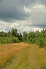 Naklejka premium Summer landscape with meadow, trees, clouds, road.