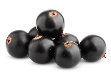 Black currant isolated on white background, clipping path, full depth of field