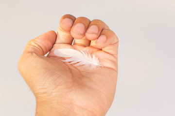 feather on  hand