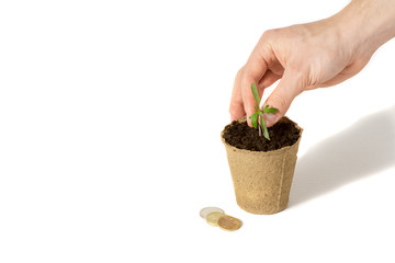 Hand of the men were planting tomato the seedlings into the ground to dry.The concept of eco-friendly packaging.