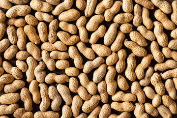 Top view of raw peanuts in shell, texture on wooden background.