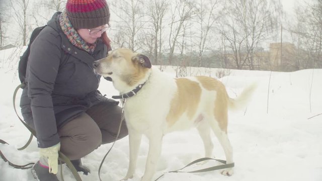 Woman volunteer stroking a disable dog from a dogs shelter