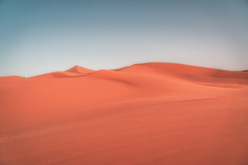Fototapeta na wymiar Spectacular sandy landscape in the Sahara desert at dawn