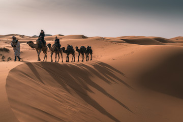 Camel ride in the Sahara desert at sunrise, Merzouga Morocco. People and dromedaries