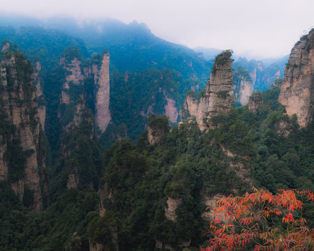 Avatar Mountain