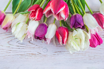 Bunch of multicolored tulips with waterdrops on the white paint wooden background