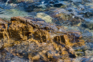 Coast of the Adriatic Sea