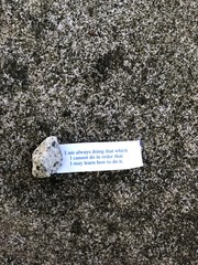 Fortune Cookie Fortune