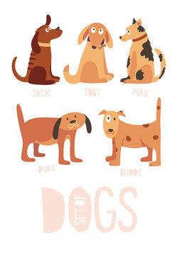 Image on the topic pets. Set of funny cartoon dogs of different breeds. Vector illustration.