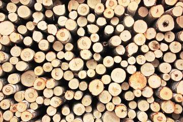 A pile of stacked firewood. Natural background