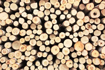 Möbelaufkleber A pile of stacked firewood. Natural background © K. B.
