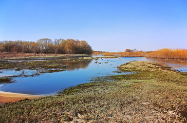 Spring flooding on the river. Spring landscape