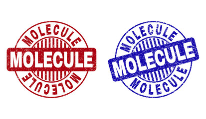 Grunge MOLECULE round stamp seals isolated on a white background. Round seals with grunge texture in red and blue colors. Vector rubber watermark of MOLECULE label inside circle form with stripes.