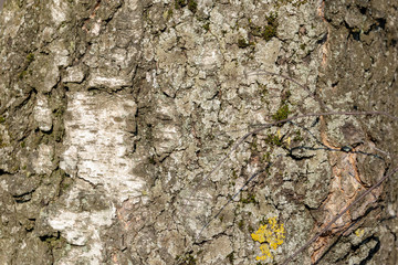 texture of old stone