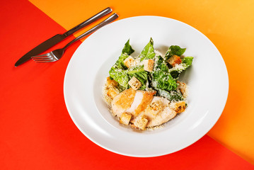 tuna salad with vegetables on the bright colors background