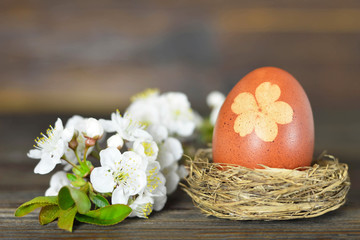 Easter egg naturally dyed with onion skins. Easter egg in the nest and spring flowers on wooden...