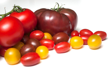 group of various tomatoes en white background