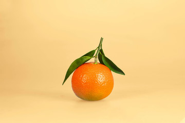 Mandarin on orange background