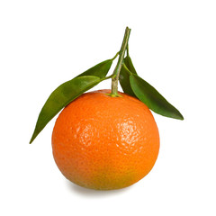 Tangerine isolated on white background