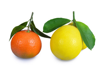 Citrus isolated on white background