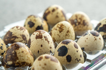 Fototapeta premium Quail eggs in plastic box, Quail eggs background
