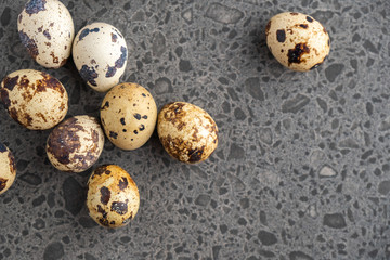 Obraz premium Small quail eggs on the stone background