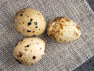 Small quail eggs on the cloth sack