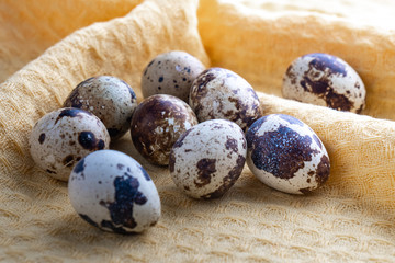 Small quail eggs on the cloth, product