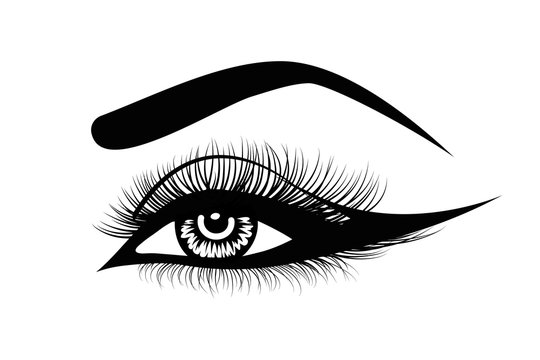 Vector eye lashes. Hand-drawn woman s sexy luxurious eye with perfectly shaped eyebrows and full lashes. Idea for business visit card, typography vector. Perfect salon look.