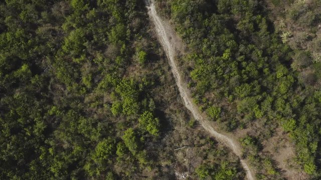 Top shot of a drone following a dirt road in the forest 4k