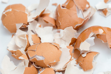 broken eggshell on white background