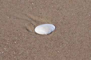  Ostern Usedom