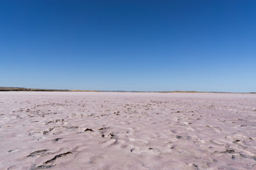 dry pink lakes and blue sky