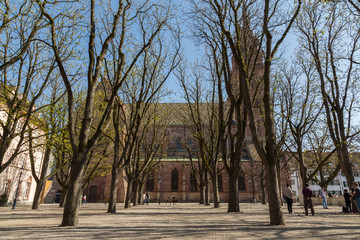 Place de la cathédrale à Bâle