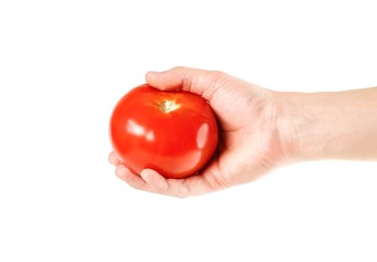 Hand holding a red tomato. Close up. Isolated on white background