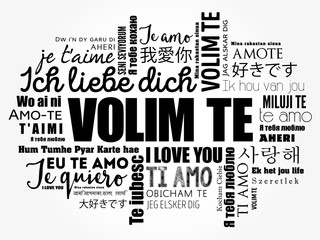 Volim te (I Love You in Croatian) word cloud in different languages of the world