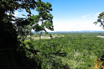 Panoramic of Amazon forest, Bolivia
