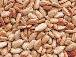 Natural shelled sunflower seeds. background fried grains.