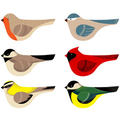 Colorful vector birds collection