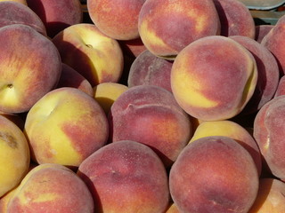 Rot - Gelbe Pfirsiche auf einem Stapel