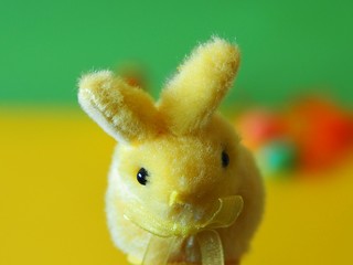 Easter bunny and on yellow and green background