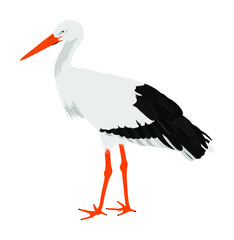 Stork vector illustration isolated on white background. Visitant, bird migration symbol.