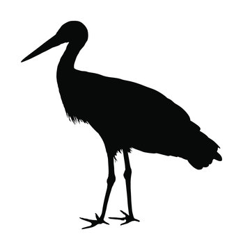 Stork vector silhouette illustration isolated on white background. Visitant, bird migration symbol.