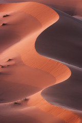 Man walks in the dunes of the Moroccan Sahara desert